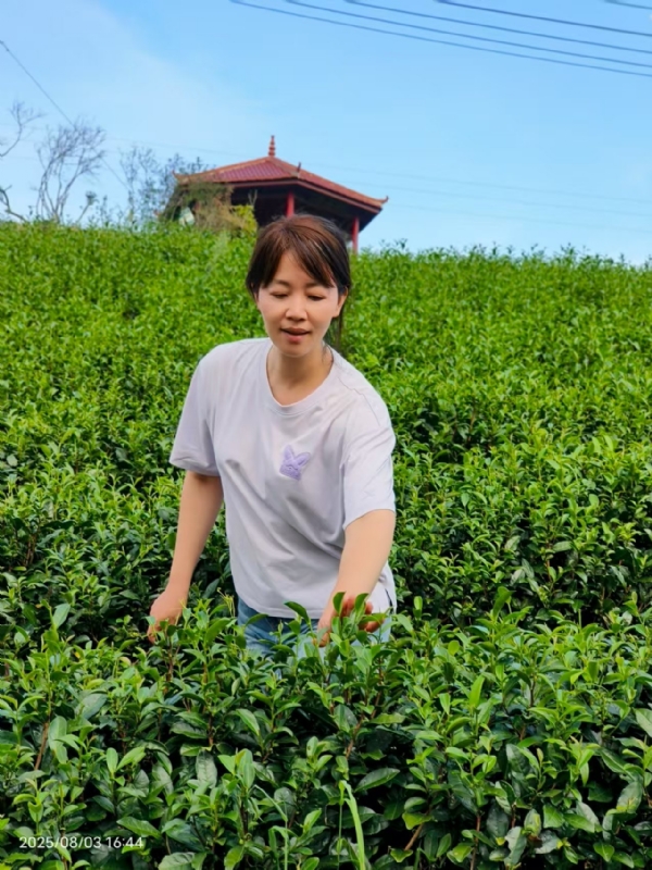 Q绮芳的第一张照片--霞浦婚介网